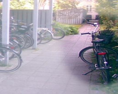 På stien